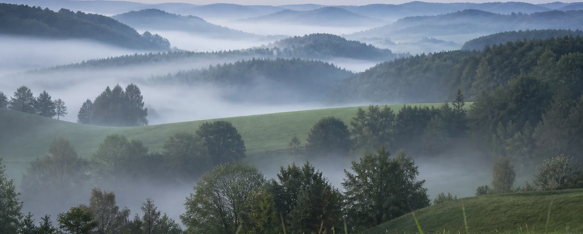 Gestaffelte bewaldete Hügelrücken im Morgennebel
