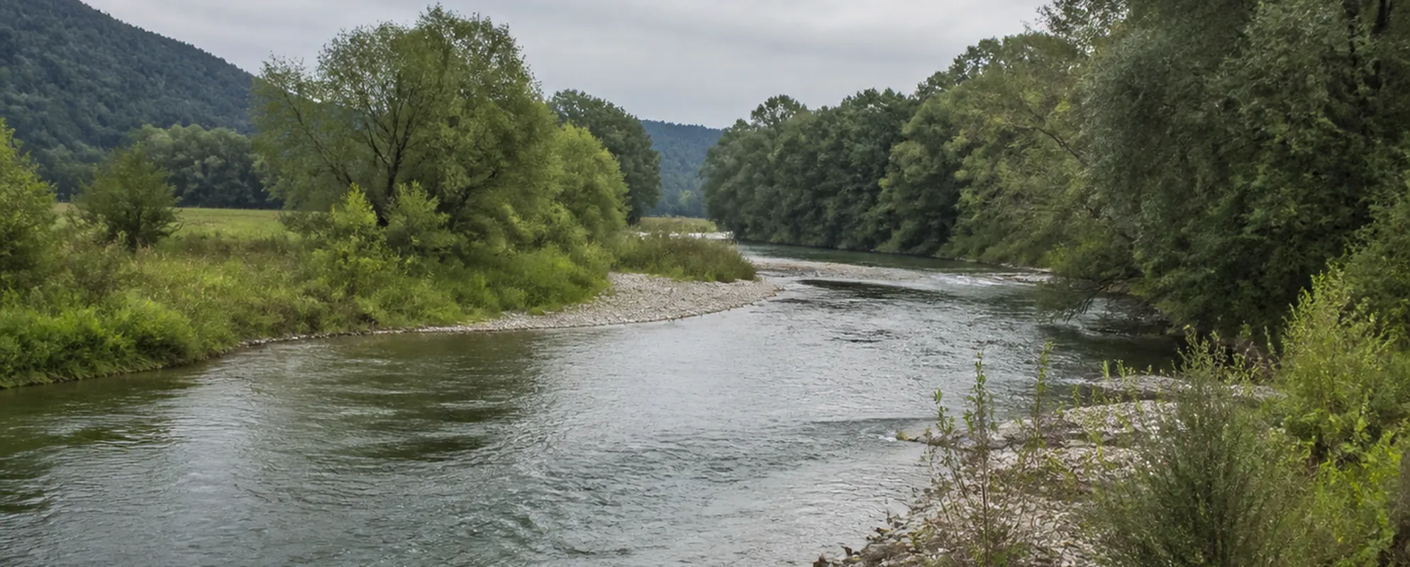 Ruhiger Flusslauf mit kiesigen Ufern zwischen Erlen und Wiesen