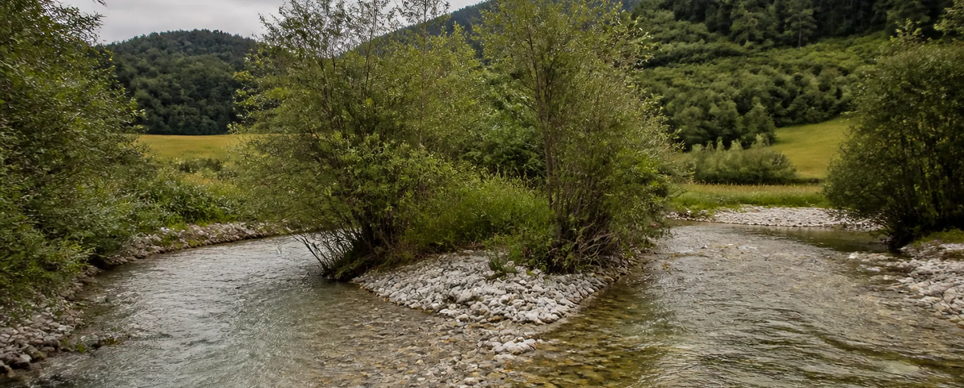 Zwei klare Bäche fließen zwischen Kiesbänken und Erlen zusammen