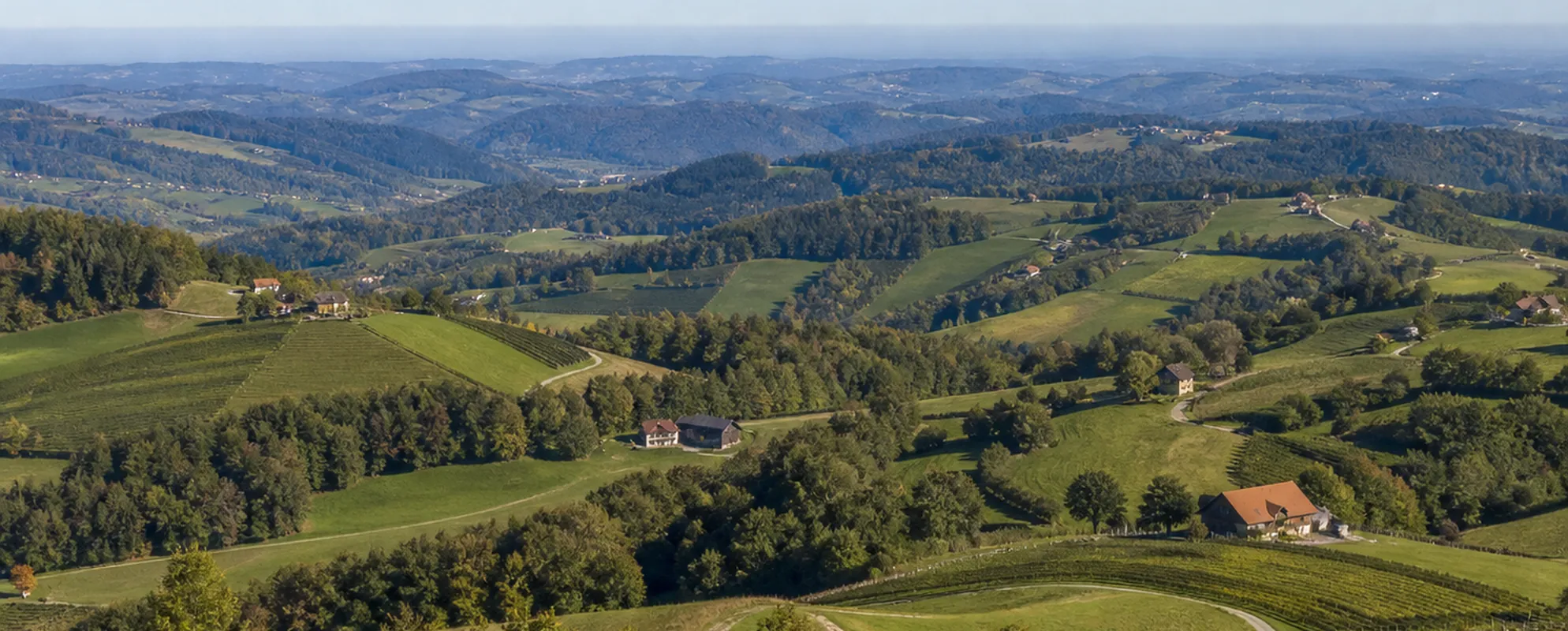 Weiter Blick von einem Höhenrücken über Hügelketten mit Weingärten und Waldinseln